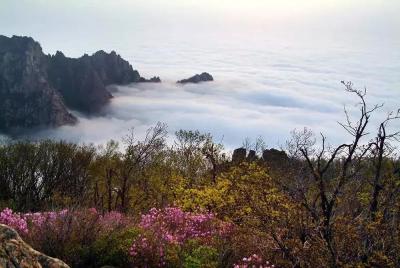 淘宝直通车有人看花多钱,五一节有没有计划去昆明轿子山玩儿的朋友