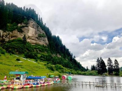 淘宝直通车多少收藏率正常,新淘宝店开多久可以开通直通车引流