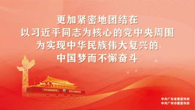 淘宝直通车设备上线,为什么阿里不做搜索引擎