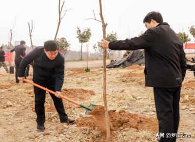 苗木淘宝直通车,现在的农民如何脱贫