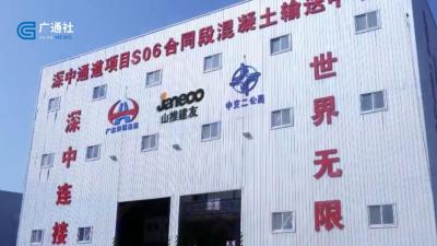 淘宝直通车什么叫宝贝推词,传统滋补品类目如何做直通车