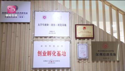 淘宝手机类目直通车资质,淘宝个人店和个体工商户的区别