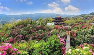 淘宝直通车移动首条99元,在淘宝想退货但卖家要求我把东西弄坏