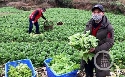 淘宝直通车怎么讲价,微信小程序电商相对于传统平台电商