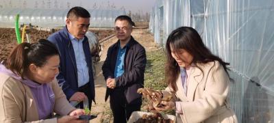 淘宝直通车重要指标有哪些,直通车如何裂变式地让搜索流量飞起来