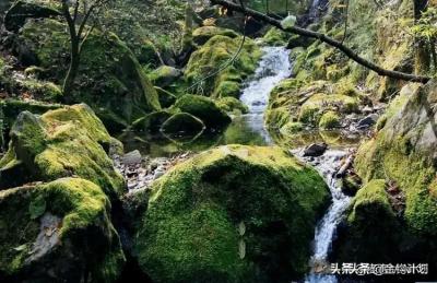 淘宝直通车钱可以返回吗,淘宝如果查询自己商品关键词违不违规
