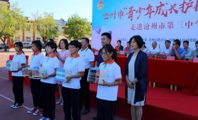 淘宝书籍类目无法开直通车,如何评价拼多多