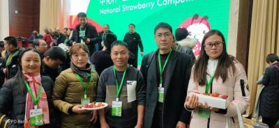 淘宝直通车刷销量方法,淘宝新品上架如何进行直通车测款