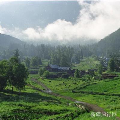 淘宝直通车原始分在哪里看,零基础如何开淘宝店