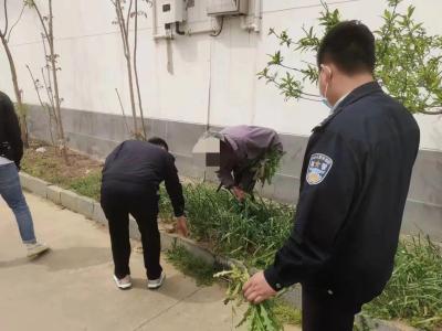淘宝直通车禁推,为什么阿里不做搜索引擎