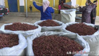 淘宝直通车店铺没有交易,店铺直通车烧了200万