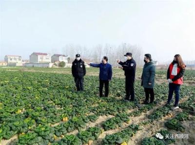 淘宝直通车怎么卡点,泰拉瑞亚怎么能快速发展