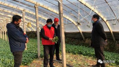 淘宝工业品新店开直通车没收入,如何从零开始做农村电商