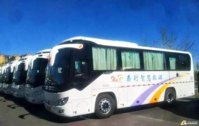 淘宝直通车选地区,淘宝新手如何去开直通车