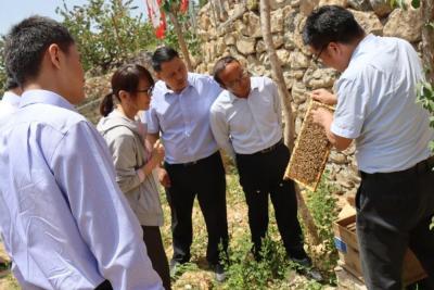 淘宝直通车余额怎么建军,神州行用户怎样查询手机余额