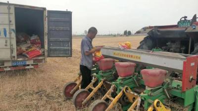 淘宝直通车怎么能不创意排查,如何看待淘宝严打刷单