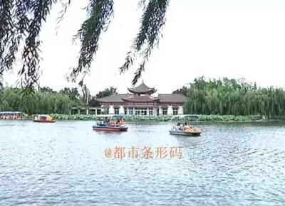淘宝直通车过年期间开不开呢,直通车过年可以停吗拼多多