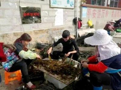 淘宝直通车拖价什么意思,直通车转化出价什么意思