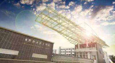 淘宝直通车不符合准入要求,肺炎疫情买不到菜怎么办