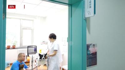 淘宝人才直通车认证,淘宝直通车转化率很低怎么办
