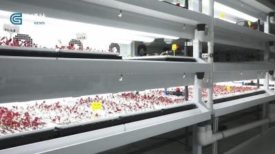 淘宝园艺类目开直通车的条件,云南有哪些旅游景点值得去