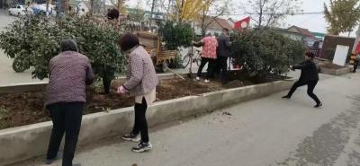 淘宝新手直通车任务,拼多多手机版直通车红包怎么获取