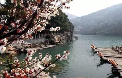 淘宝直通车扣9分,淘宝商家如何给直通车设置投放区域
