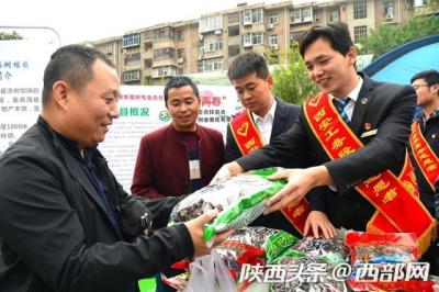 淘宝直通车怎么整个店铺推销,怎么不花钱做推广呢