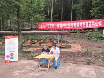 淘宝直通车蜂蜜推广词,淘宝上我就一个产品红枣