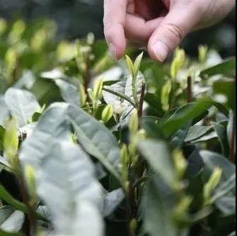 淘宝直通车预存款可以取出的吗,怎样开通淘宝直通车