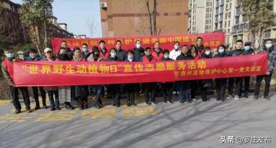 淘宝第三方直通车软件怎么退款,淘宝直通车退款冻结怎么办