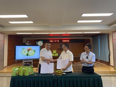 淘宝开直通车无鲜果,淘宝为什么不让开直通车了