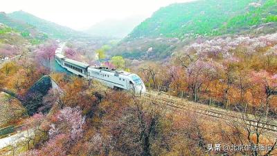 淘宝直通车全面升级,大家今年淘宝生意如何
