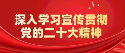 淘宝直通车自动抢位用什么软件,淘宝天猫会被拼多多超越吗
