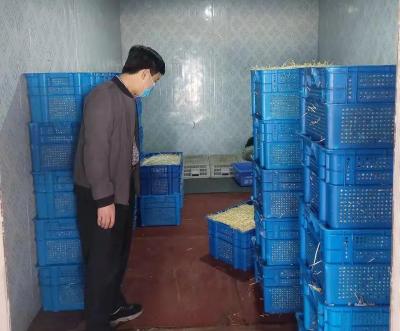 淘宝直通车新手训练营在哪里,淘宝新店怎样才能快速做起来呢