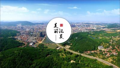 淘宝直通车定位店铺,淘宝店铺访客数和流量一直上不去