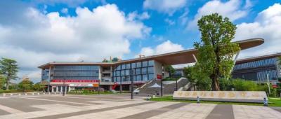淘宝直通车潜力新品什么意思,开淘宝店算电商吗