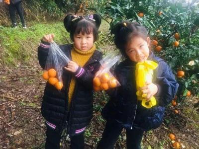 淘宝卖家如何打开直通车入口,聚划算为何现在风光不在