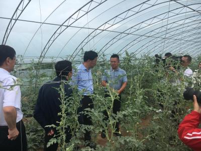淘宝直通车产出比多少算正常,淘宝中小卖家该如何开直通车