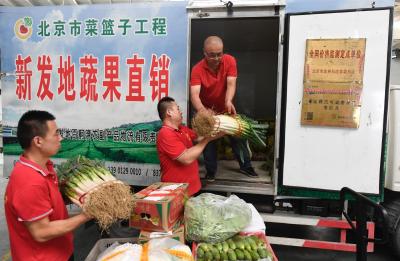 淘宝直通车化妆品推广资质,刷单带来的恶果