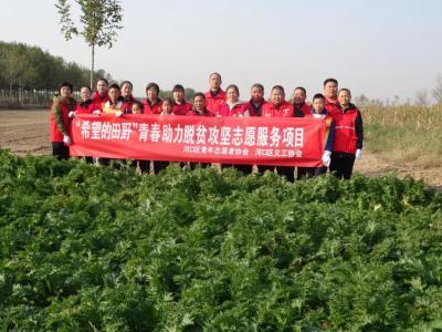 淘宝直通车1600返600,如何创业