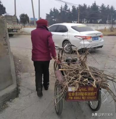淘宝直通车推广信息违规,哪位知道淘宝直通车被封了要如何解禁