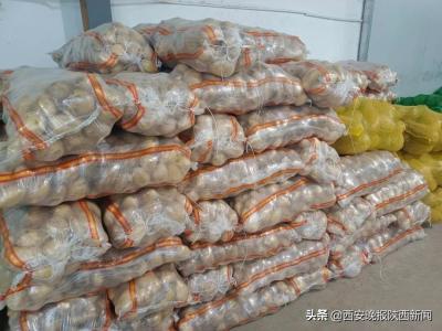 淘宝直通车展现量148,去张家界和凤凰城该怎么做攻略