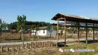 淘宝直通车草莓,聊一聊你创业的那些经历