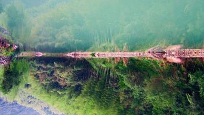 淘宝直通车里面的总购物车数,做淘宝女装一个月能收入多少