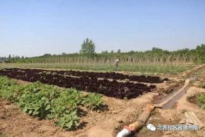 淘宝农药怎样做直通车推广,新开淘宝店做什么产品好