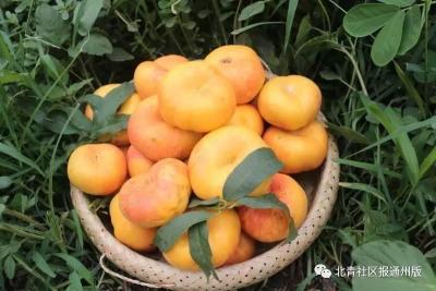 淘宝直通车显示一口价,有没有什么事做