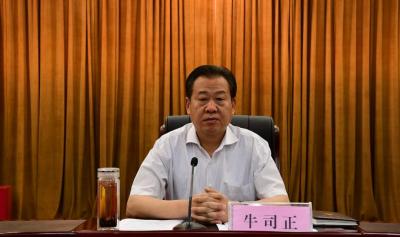 淘宝直通车数据指标,行家给个建议怎么做