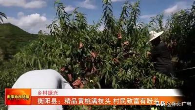 淘宝直通车需要等级才能开吗,怎么直通车开了停了却没有流量