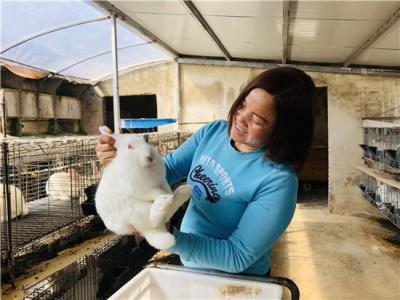 淘宝直通车商品点7次1个加购,直通车加购率多少正常